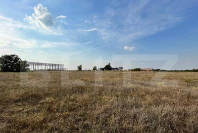 Teren intravilan 15.039 mp, Gherce?ti, zona Aeroport - 4