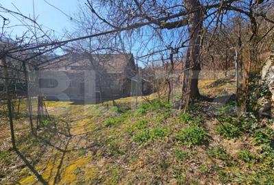 Casă cu 4 camere cu Teren 3800 Mp în Măgina - 2