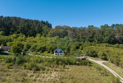 Comision 0%! Vila moderna, in mijlocul naturii - 26