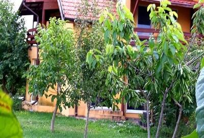 Loturi de teren pentru constructii de case in Paradise Valey - 14