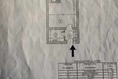 Garsonieră semidecomandată, mobilată în Costin Georgian - 2