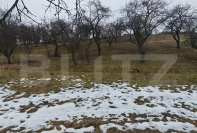 Teren de 1268 mp, în Mihai Viteazu - 7