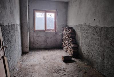 Casă individuală cu 5 camere cu Teren 4183 Mp în Secăria - 4