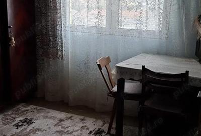 Apartament cu 2 camere decomandat în Bejan - 1