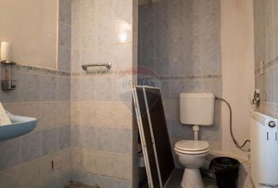 Oportunitate de investitie-vanzare spatiu industrial 6500mp, Cernica - 33