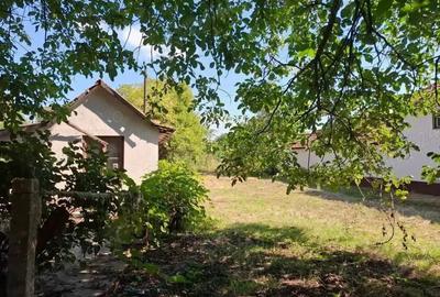 Casa de vanzare la 17 km de ORADEA langa granita - 9