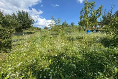 Casă cu 7 camere cu Teren 4500 Mp în Central