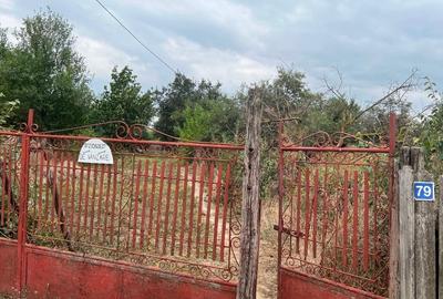 Moștenitor - Casa și teren intravilan la sosea de vânzare - 1