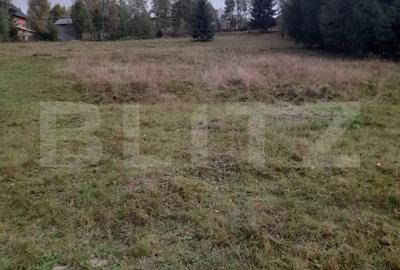 Spațiu comercial, în Central - 2