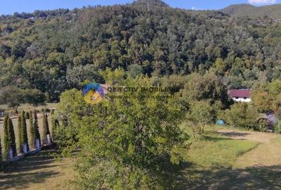 Casa traditionala de vanzare - Alexandru cel Bun- view spre munte si lac - 9