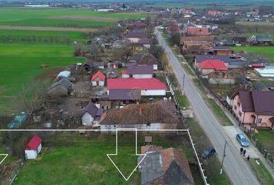 Casă cu 2 camere cu Teren 5800 Mp în Dumbrava - 6