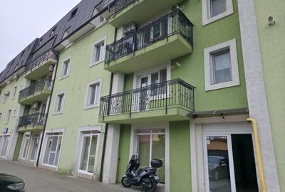 Apartament cu 2 camere semidecomandat, mobilat în Giroc - 15