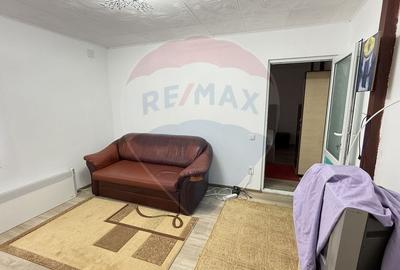 Casa / Vila cu 3 camere de inchiriat in zona Giurgiului - 15