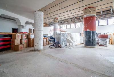 Spațiu comercial, de 210 mp, în Silva - 4