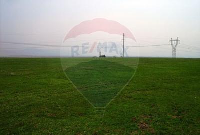 Teren extravilan, arabil de vanzare, in Dobolii de Jos,  22.3 hectare