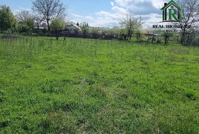 Spațiu comercial, în Vernești - 2