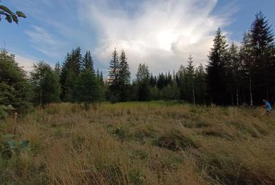 Teren de 2553 mp, în Smida - 1