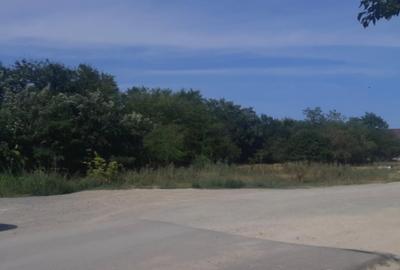 Teren Construcții intravilan de 511 mp, în Corbu