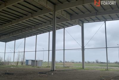 COMISION 0% Hala industriala 5500 mp utili zona de Nord Timisoara - ID V5143 - 3