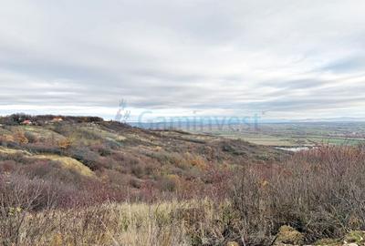 Teren Construcții extravilan de 4385 mp, în Dealuri Oradea - 3