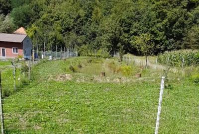 Teren extravilan 572 mp cu BALTA DE PESCUIT in Satul Hartagani din Comuna Baita, Judetul Hunedoara. - 1