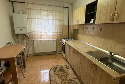 Apartament cu 2 camere semidecomandat în Craiovița Nouă - 6