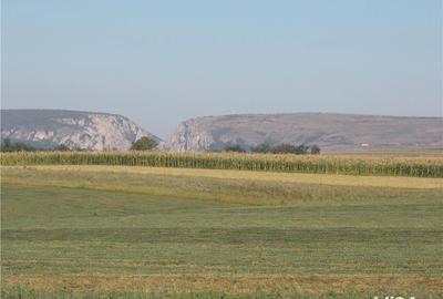 Teren de 1000 mp, în Central - 2