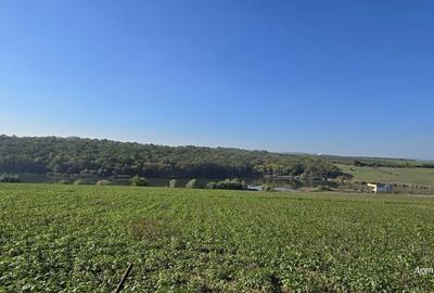Teren de 700 mp, în Central