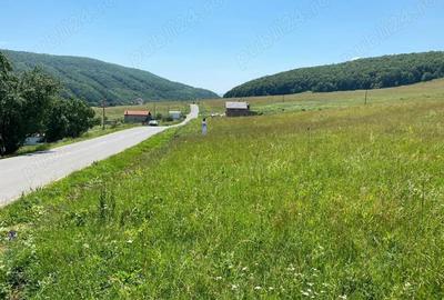 Teren de 1100 mp, în Sălicea - 1