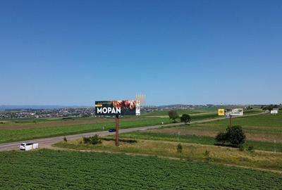 Teren Intravilan 36977 mp E 85 Intrare in Municip... - 13