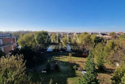 MANSOIN LAKE FRONT - 2600MP - PIPERA - 4