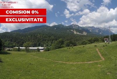 VANZARE TEREN INTRAVILAN SINAIA-CUMPATU Strada Zamora-9.801 mp-Comision 0% - 36
