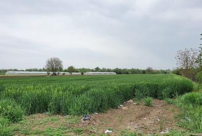 Vidra, Sat Cretesti - 4