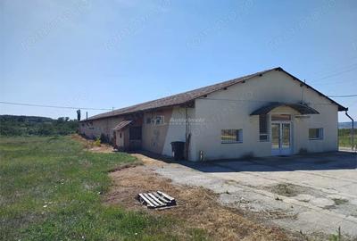 Spațiu comercial, de 972 mp, în Mișca - 17