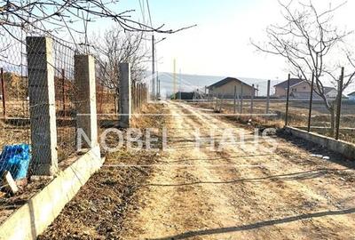 Teren intravilan 500 mp, zona Livada, iesirea spre Perieni - 4