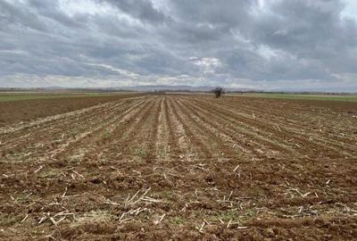 Teren de 2500 mp, în Hănțești - 6