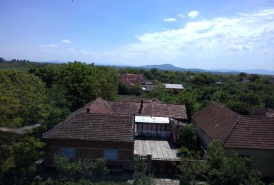 Casă cu 3 camere în Gurba - 5