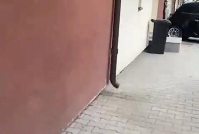 Vand vila mobilata Bucure?ti bragadiru 150 mp 4 camere super pozitie bragadiru zona McDonald's Vand vila mobilata Bucure?ti bragadiru 150 mp 4 camere super pozitie bragadiru zona McDonald's - 12