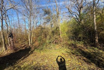 Teren langa pădure 6400mp-casa demolabile-deschidere 35 ml - 13