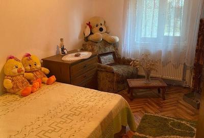 Casă cu 4 camere în Piscani - 1