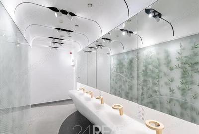 Spațiu comercial, în Barbu Văcărescu - 3