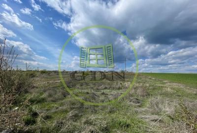 Teren Construcții intravilan de 10013 mp, în Pielești - 3