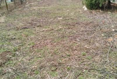 Teren lipia Ilfov lângă pădure 4400mp - 4