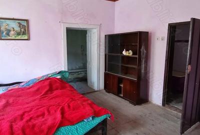 Casa cu gradina Casa cu gradina - 4