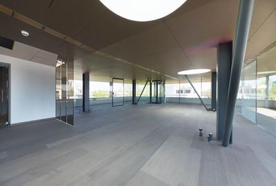 Vila Capo | Luxury offices 1800 mp | Dorobanti Capitale - 12