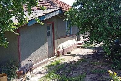 Casă cu Teren 1450 Mp în Valea Puțului Merei - 4