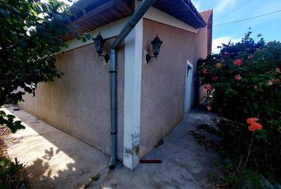 Hala de 800 mp cu teren de 1600 mp in Ineu de Cris Bihor. - 9