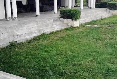 Domeniu  in Prahova- probabil una dintre cele mai frumoase reședințe - 9