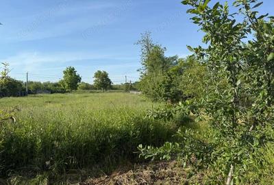 Teren de 3360 mp in exclusivitate, Sanmihaiu Roman, vedere la Bega - 2