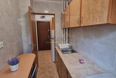 Apartament cu 2 camere semidecomandat, mobilat în Drumul Taberei - 10